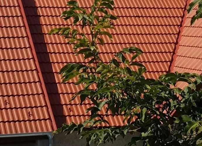 Gabe's Nest דירה *